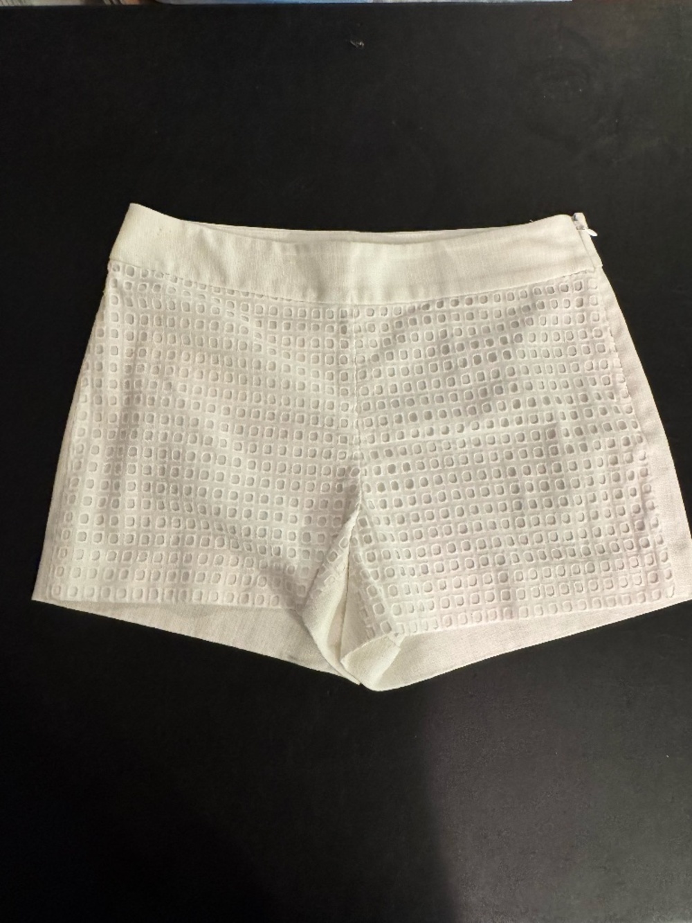 J.Crew White Textured Eyelet Shorts Size 4 Lined Summer Resort Coastal Chic NWT